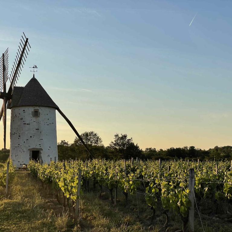 Vignoble-mourat