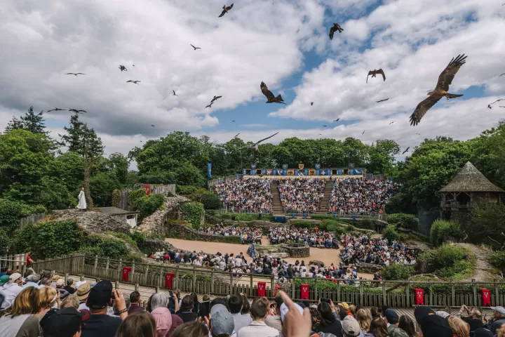 le-bal-des-oiseaux-fantomes